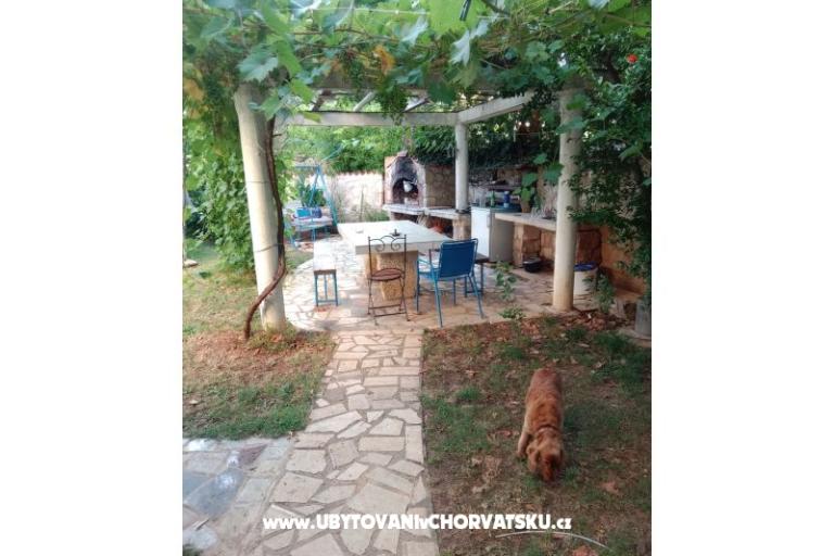 Bianca – photo 5