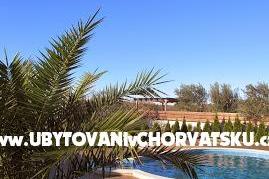 House Oliva – photo 4