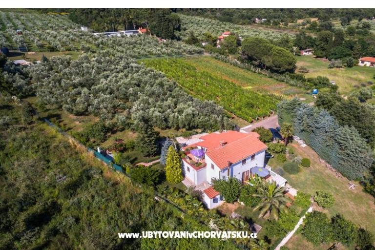 House Vencel – photo 15