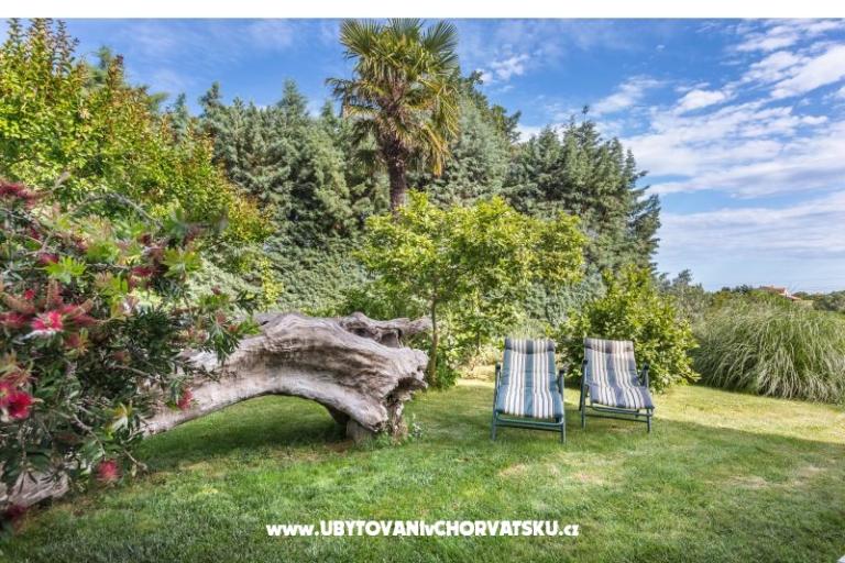 House Vencel – photo 16