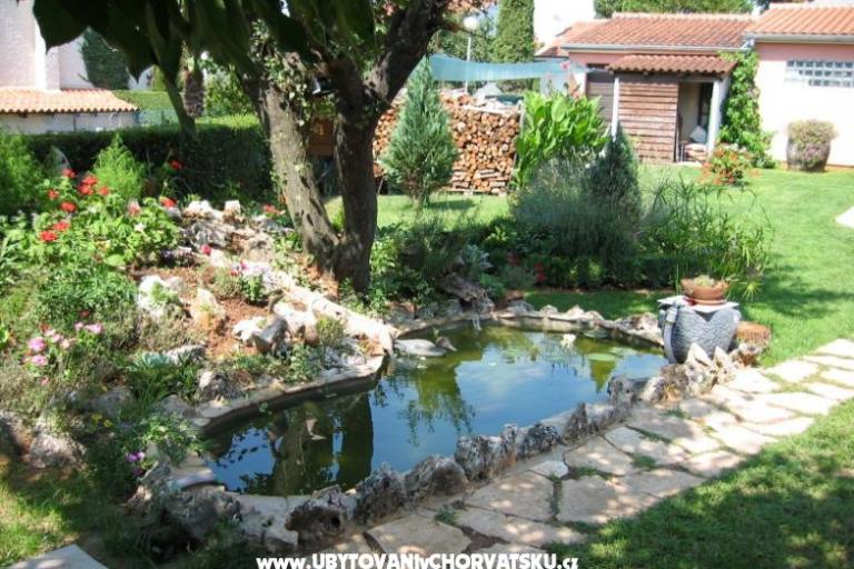 House Jolanda – photo 10