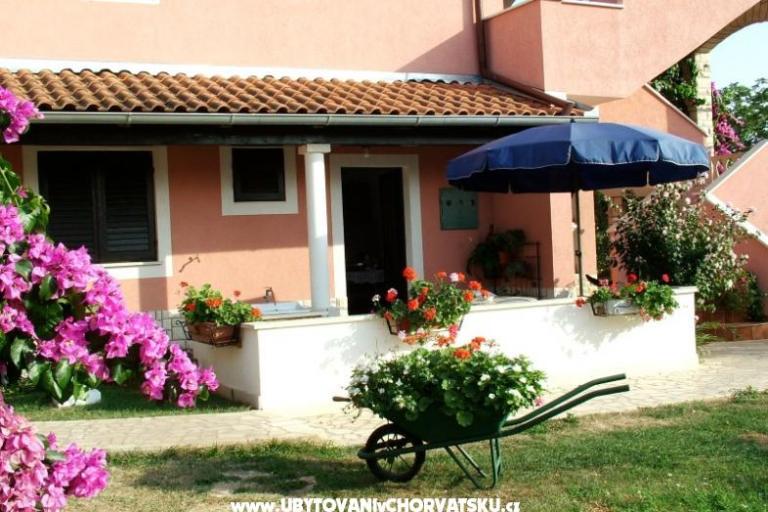 House Jolanda – photo 3