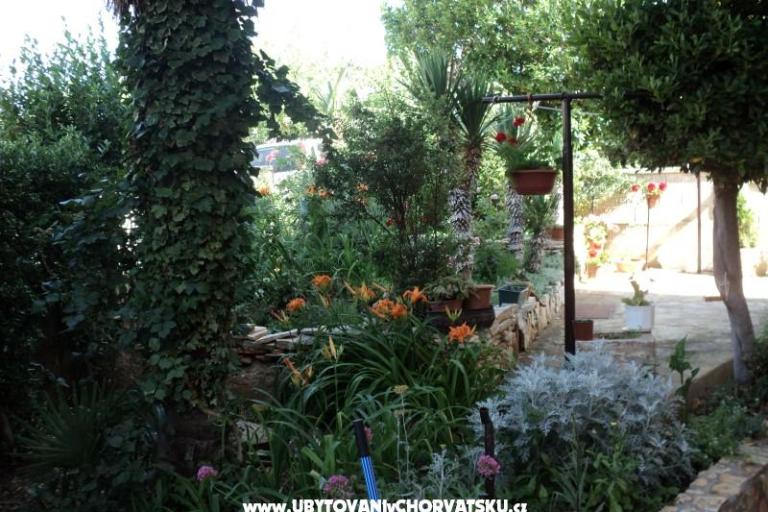 House Pacic – photo 14
