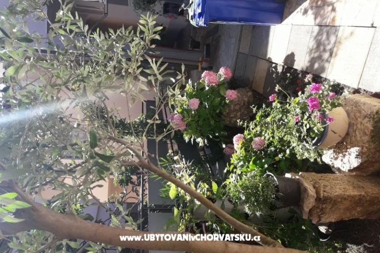 Apartments SUNI – photo 6
