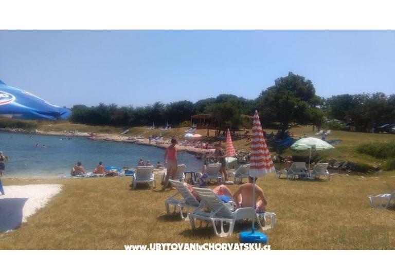 Apartments Tomy – photo 10