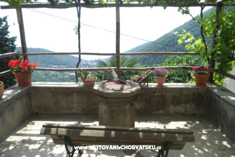 Vacation house Mickey – photo 5