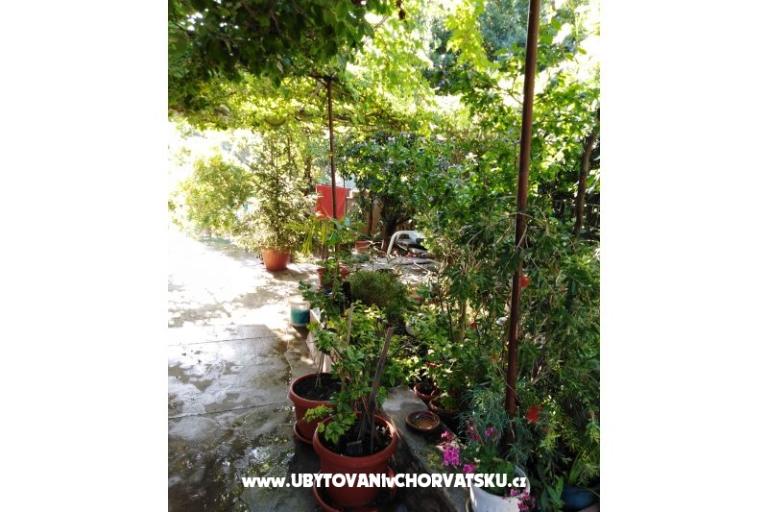 Apartment Fifi – photo 16