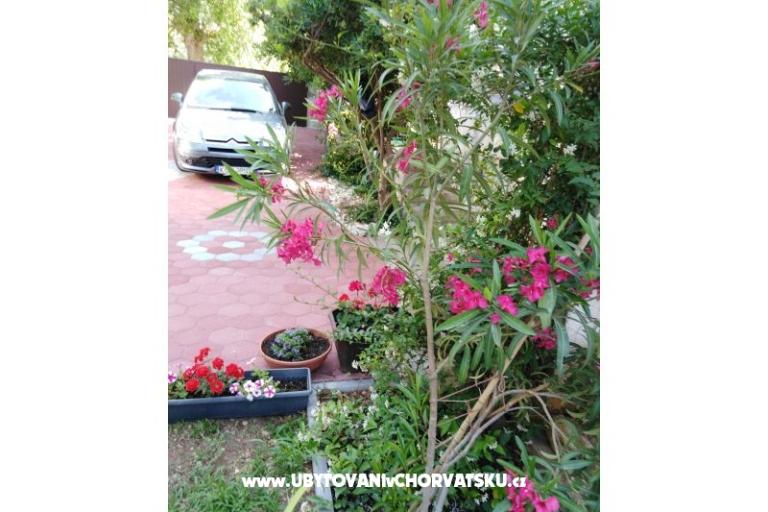 Apartment Fifi – photo 6