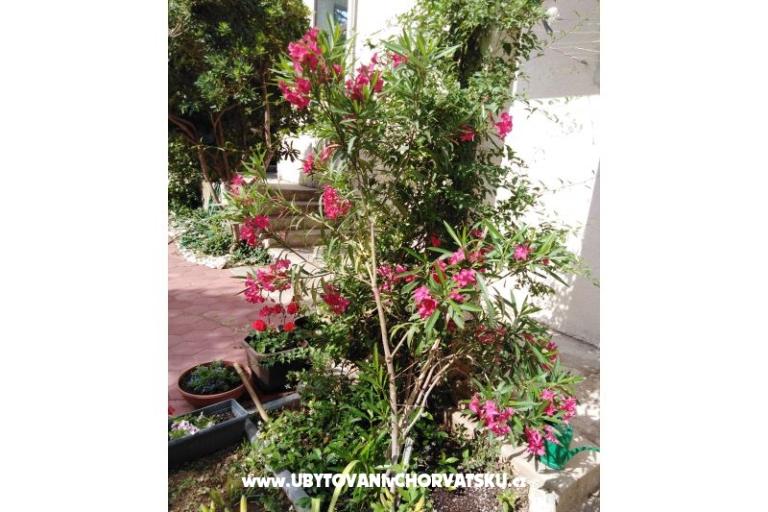 Apartment Fifi – photo 7