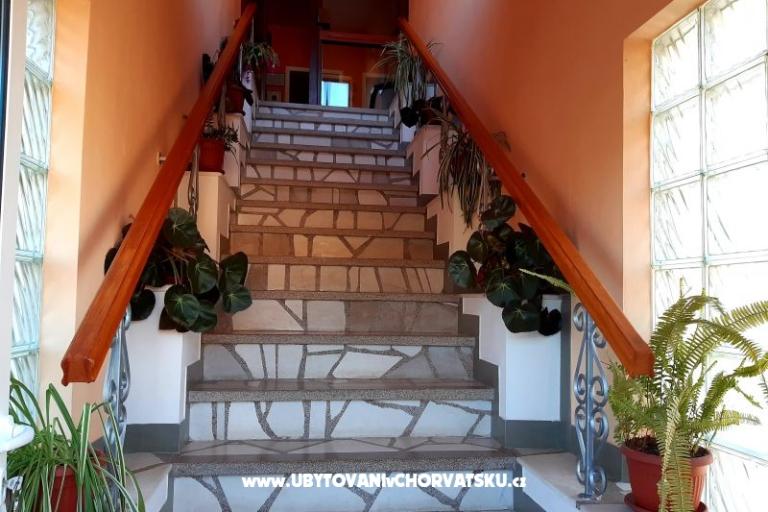 Apartments A.Jelovčić – photo 12