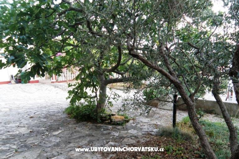 Apartments Florijana – photo 6
