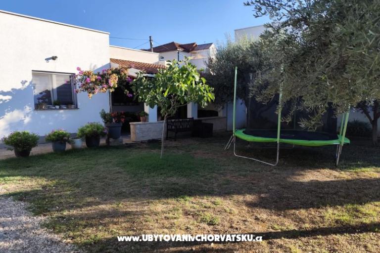 Apartments Danijela – photo 7