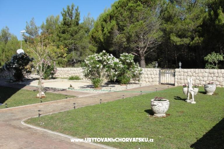 Apartments Dario – photo 12