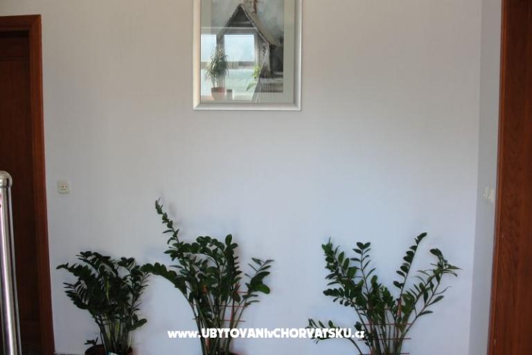 Apartments Dario – photo 14