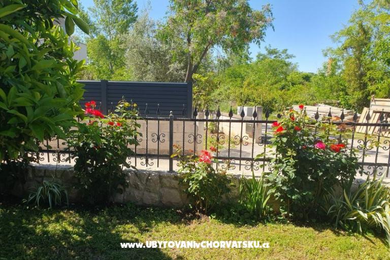 Apartments Kajtazović – photo 6