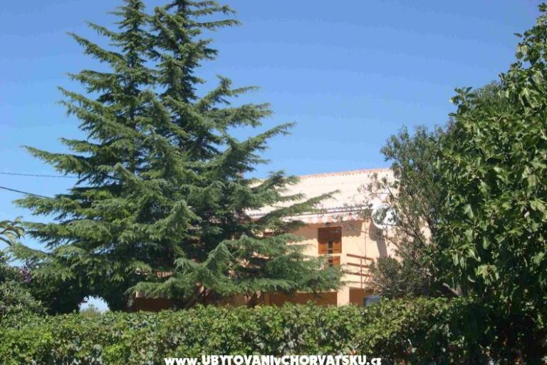 Apartments Mrdelja – photo 2