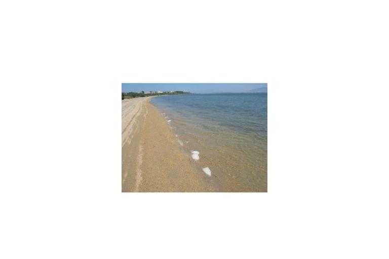 Apartments Popović – photo 22