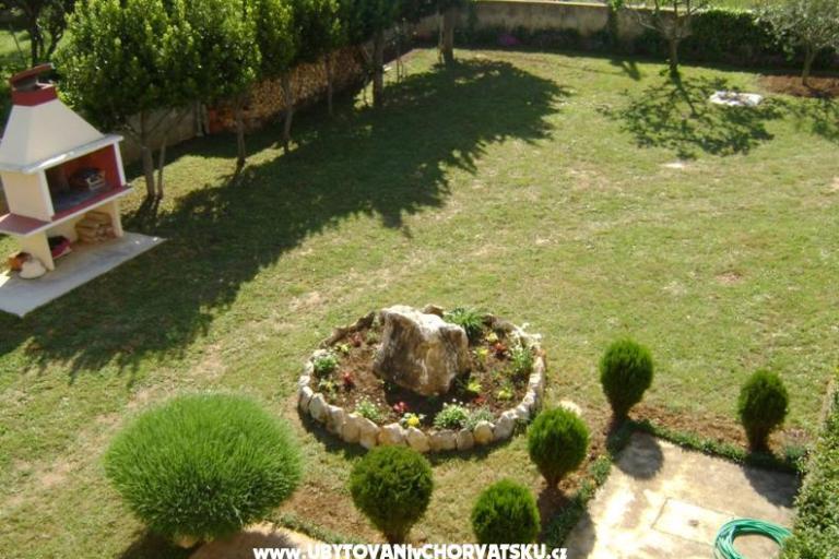 Apartment Dalmacija – photo 10
