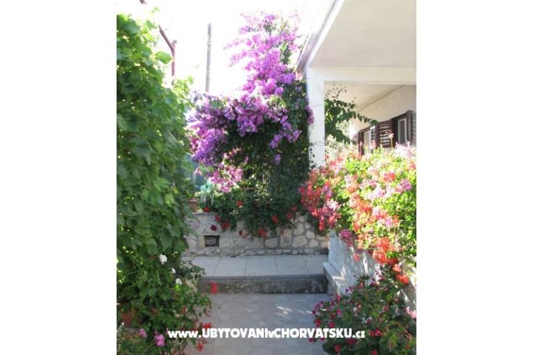 Apartments Baras – photo 6