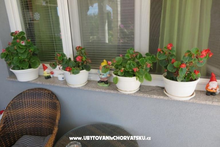 Apartments Renata – photo 5