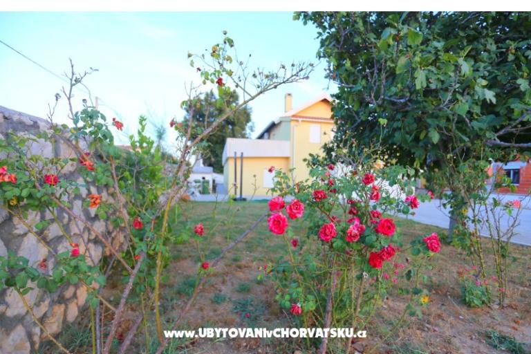 Apartment Novak Rudic – photo 2