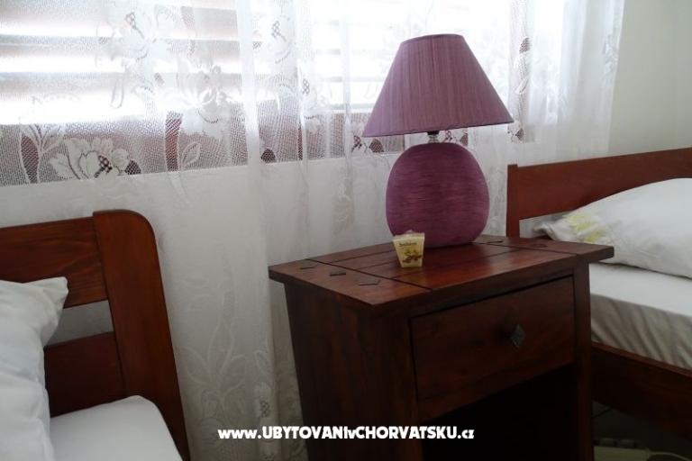 Rose – photo 12