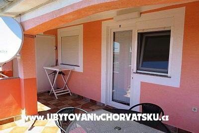Ruža – photo 2