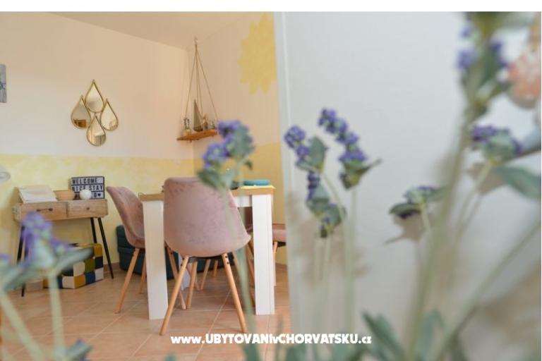 Apartment Bonzo Novalja – photo 12