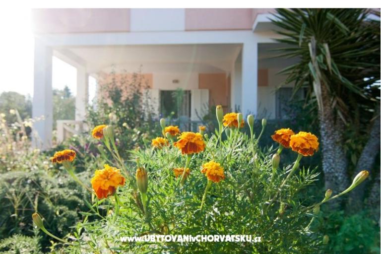 Apartments Danijela – photo 17