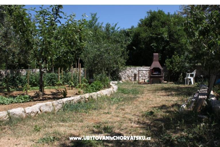 Apartments Danijela – photo 3