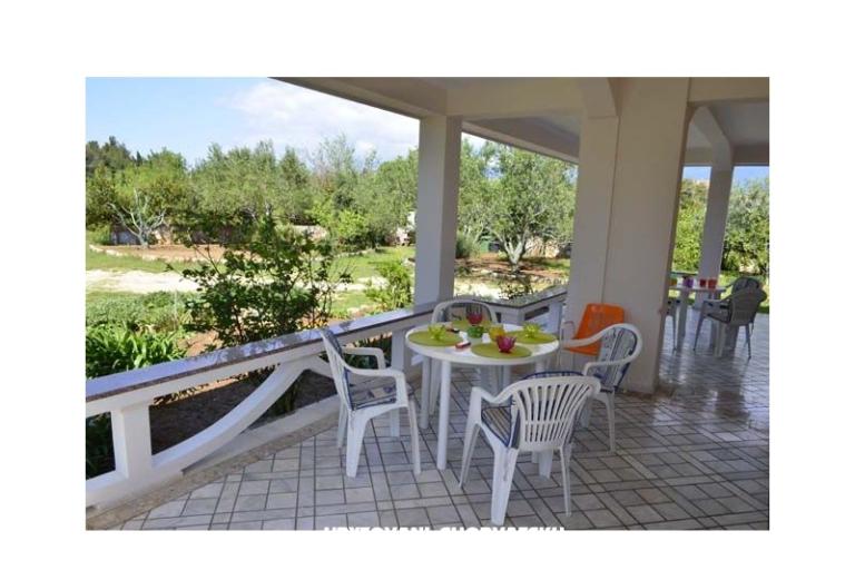 Apartments Danijela – photo 5