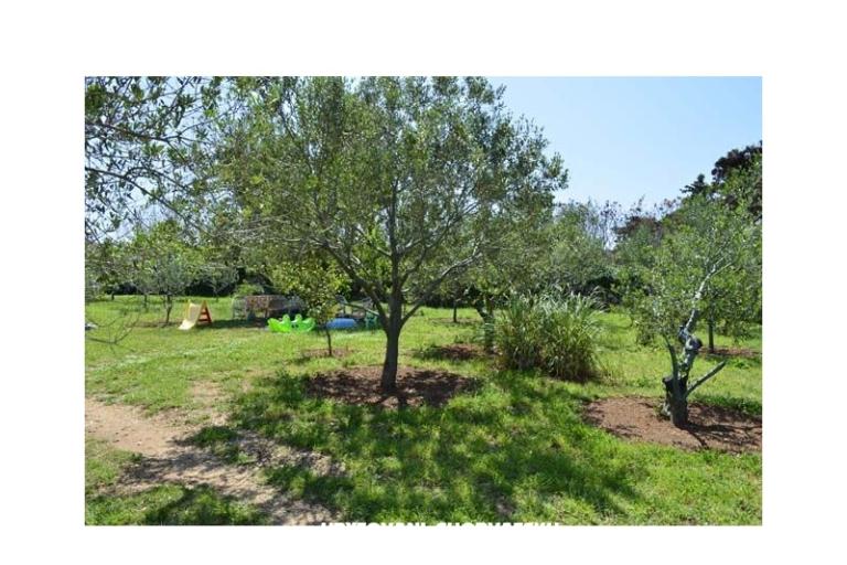 Apartments Danijela – photo 6