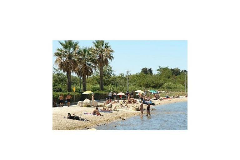 Apartments Danijela – photo 8