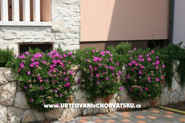 Apartments Grga – photo 5