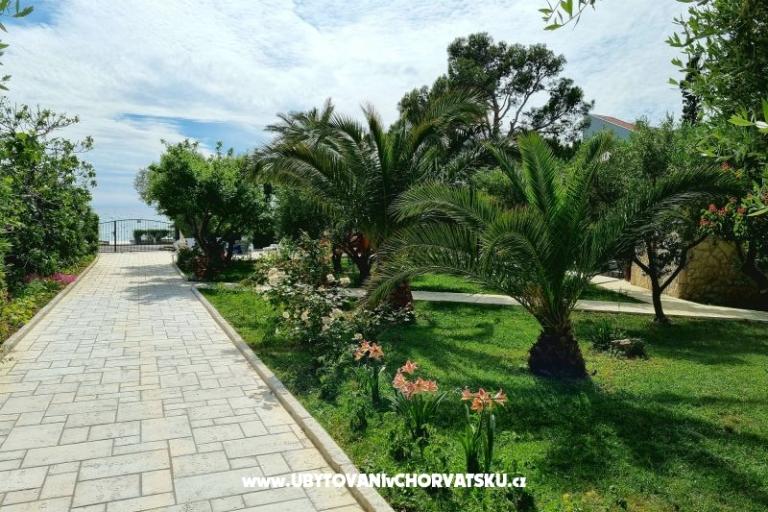 Apartments Ostrea – photo 15