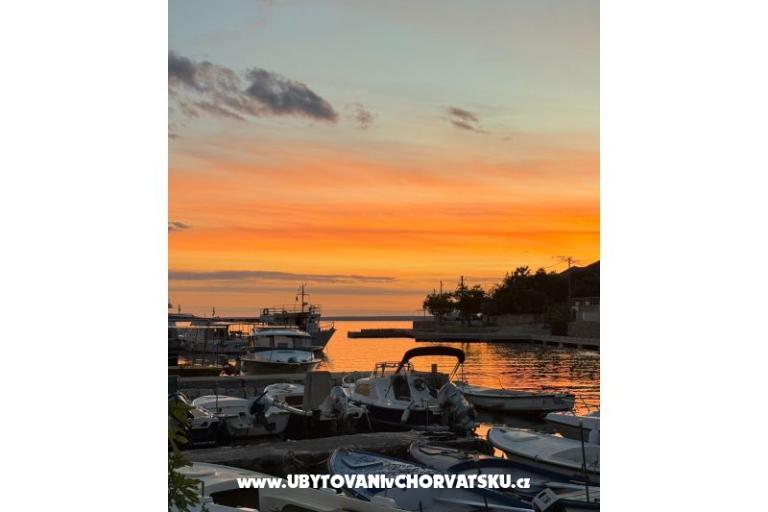 Apartments Šegota – photo 7