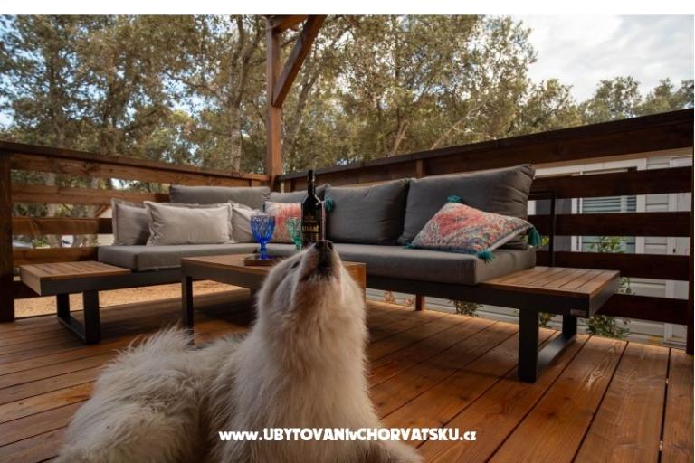 House Sookie – photo 3