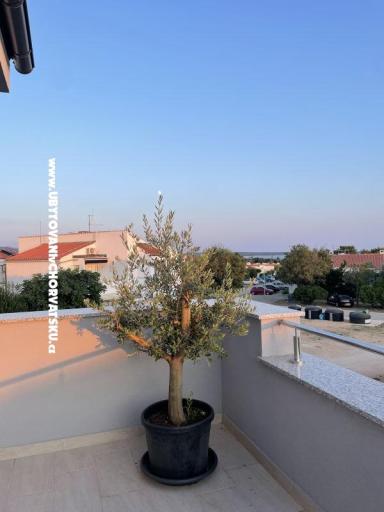 Traumhafte Ferienwohnung in Gajac – photo 17