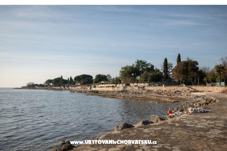 A&amp;V Residence – photo 15