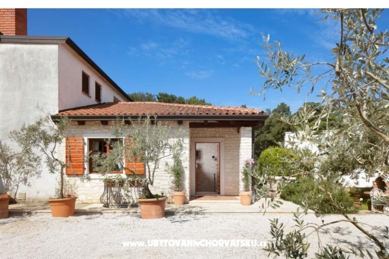 Antonia – photo 2