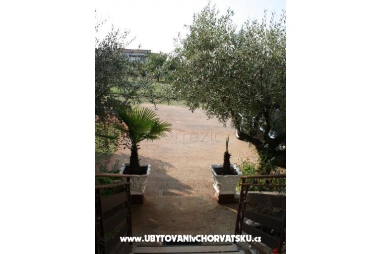 Apartment Adriana Stancijeta – photo 11