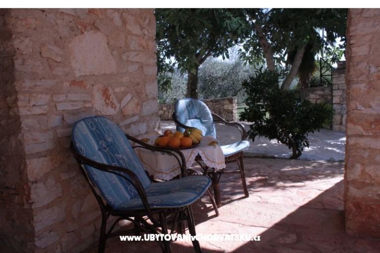 Sanja Apartments Novigrad – photo 11