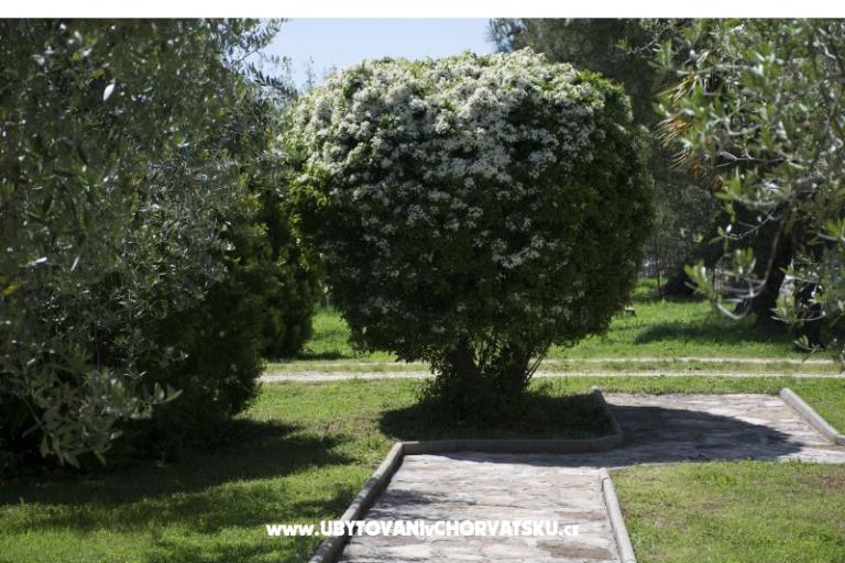 Sanja Apartments Novigrad – photo 3