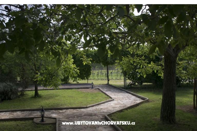 Sanja Apartments Novigrad – photo 7