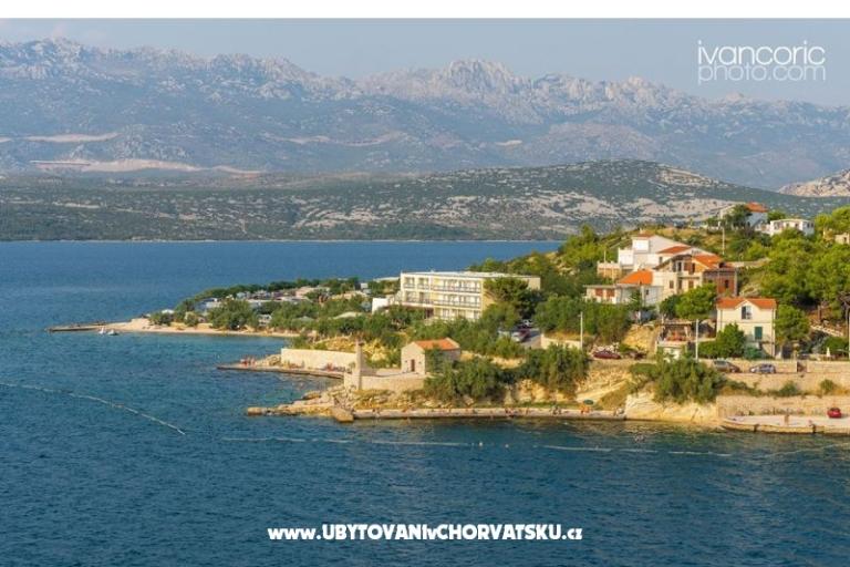 Apartments Ivo – photo 6