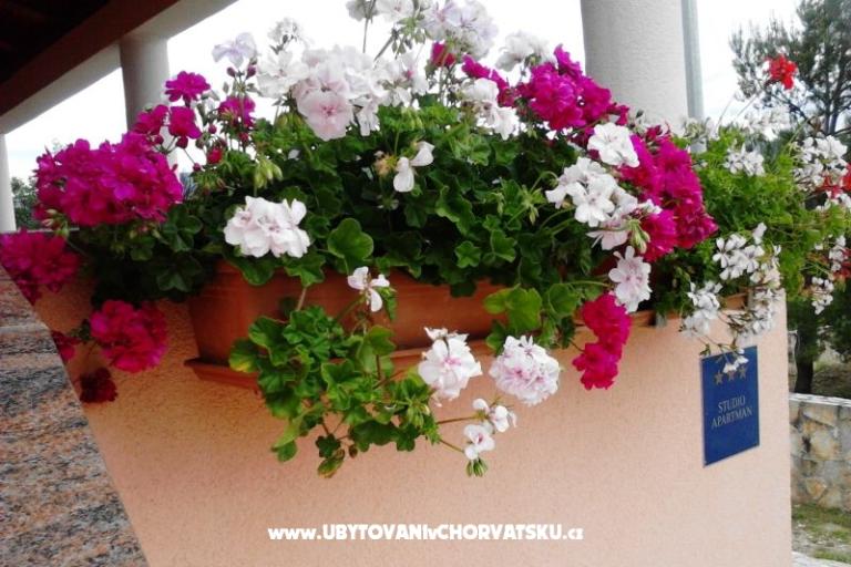 Apartment Jasna – photo 14