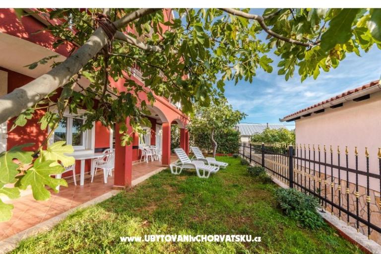 House Danica – photo 11