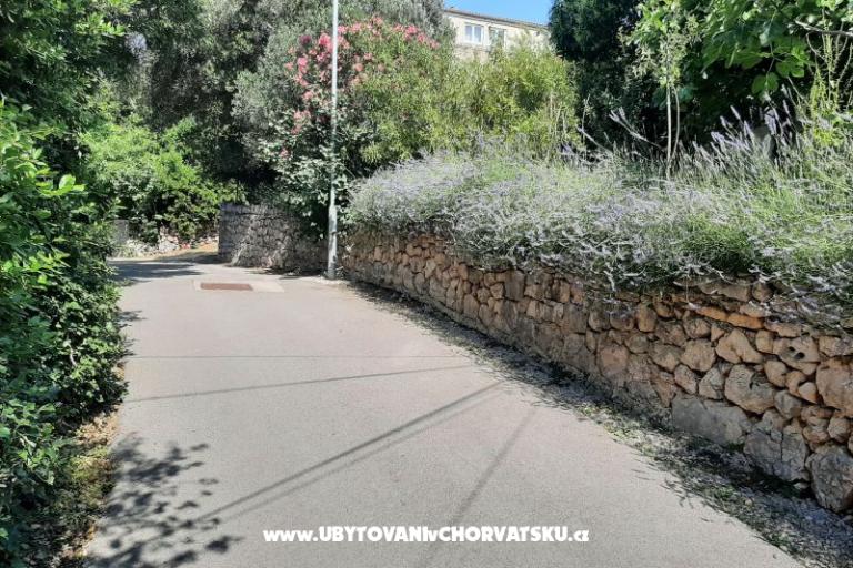Apartments Baričević – photo 7