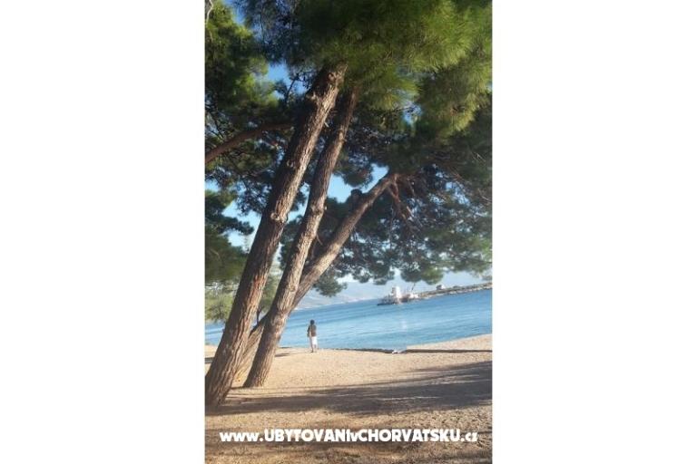 Apartments Bionda Novi Vinodolski – photo 15