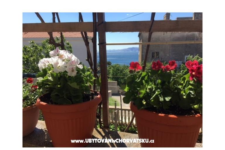 Apartments Marijana – photo 17